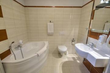 Фото номера Двухместный номер Делюкс с 1 кроватью Отель Hotel Borowianka г. Острув-Велькопольски 5