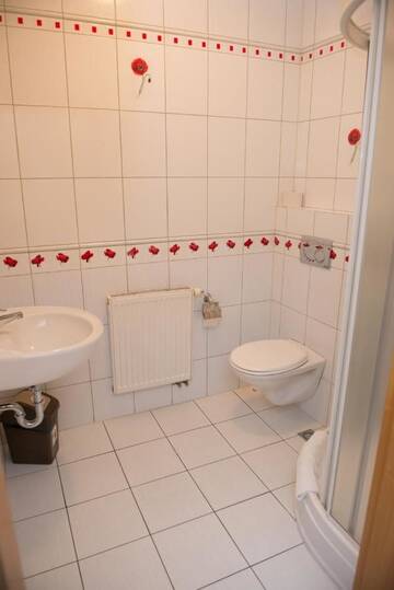 Фото номера Одноместный номер эконом-класса Отель Hotel Borowianka г. Острув-Велькопольски 3