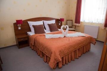 Фото номера Двухместный номер Делюкс с 1 кроватью Отель Hotel Borowianka г. Острув-Велькопольски 4